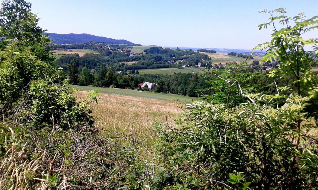 Agroturystyka Zielona Dolinka Stryszow Dış mekan fotoğraf