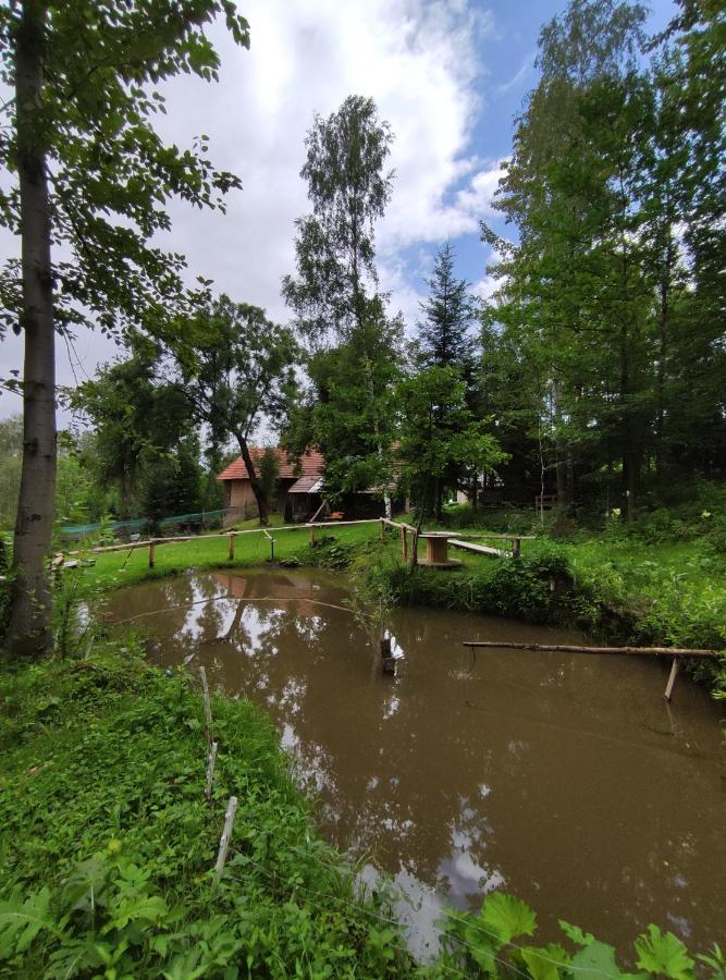 Agroturystyka Zielona Dolinka Stryszow Dış mekan fotoğraf