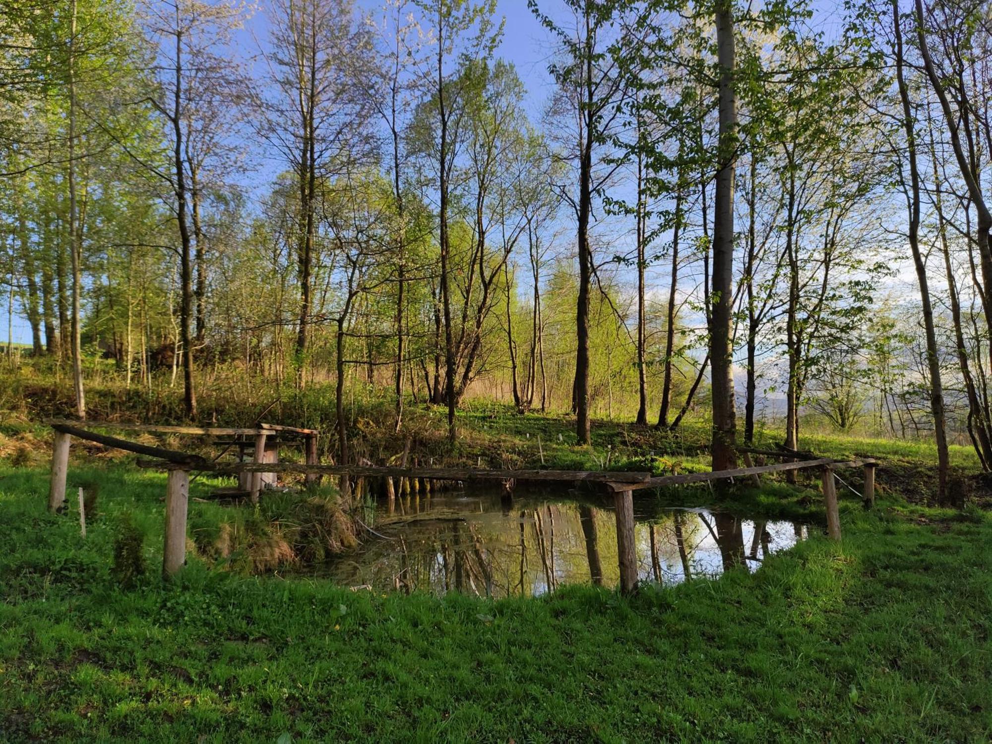 Agroturystyka Zielona Dolinka Stryszow Dış mekan fotoğraf